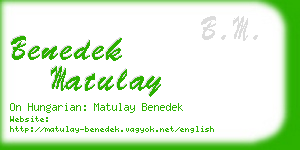 benedek matulay business card